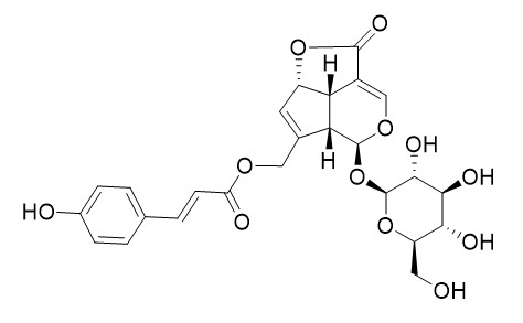 10-O-Coumaroyl-10-O-deacetylasperuloside