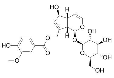 10-O-Vanilloylaucubin