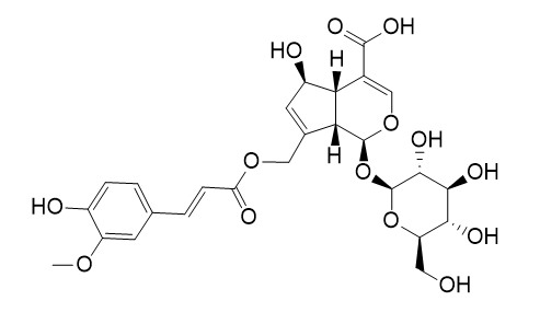 10-O-trans-p-Feruloylscandoside