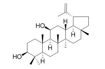 11β-羟基羽扇豆醇
