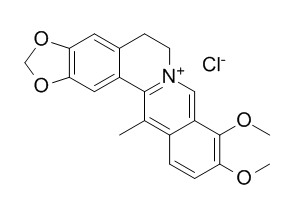13-Methylberberine