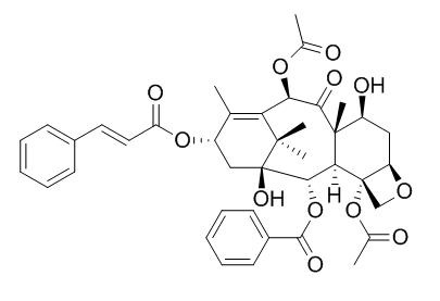 13-O-Cinnamoylbaccatin III
