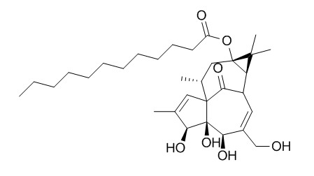 13-Oxyingenol dodecanoat