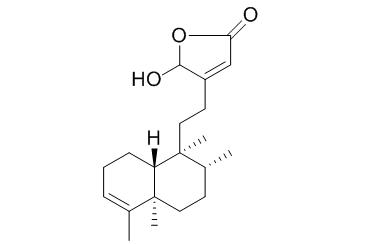 16-Hydroxycleroda-3,13-dien-15,16-olide