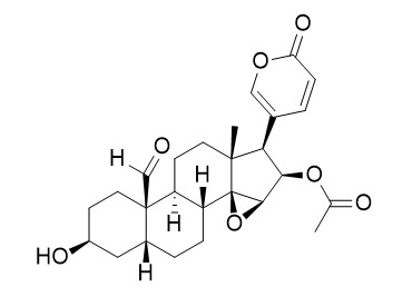 19-Oxocinobufagin
