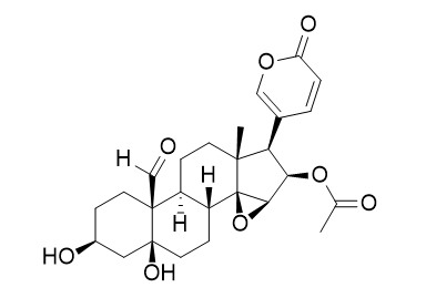 19-Oxocinobufotalin