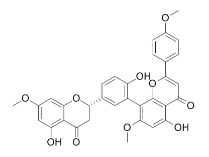 2,3-二羟基三叶橡胶黄酮