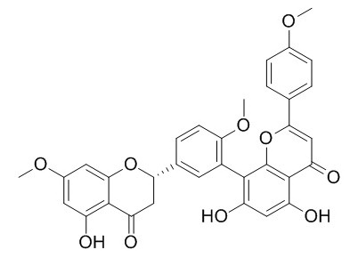 2,3-dihydrosciadopitysin