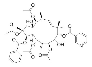 Jatrophane 5