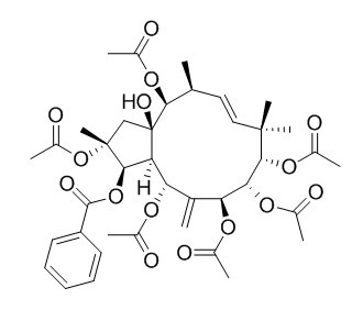 Jatrophane 2