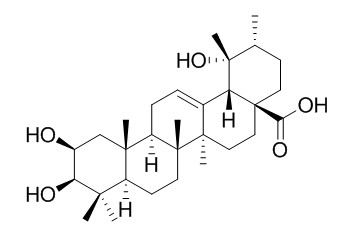 2-Epitormentic acid