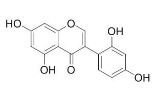 2'-羟基染料木素