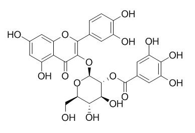 2-O-Galloylhyperin