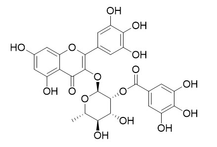 2''-O-Galloylmyricitrin