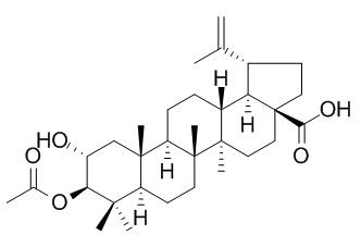 2alpha-hydroxy-3beta-acetyloxy-betulic acid