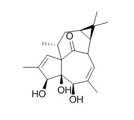 20-Deoxyingenol