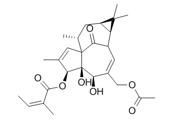 20-O-Acetylingenol-3-angelate