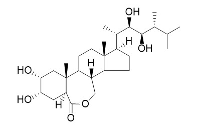 24-Epibrassinolide