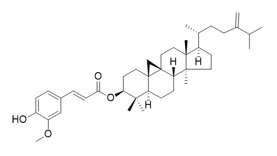 24-Methylene cycloartanyl ferulate