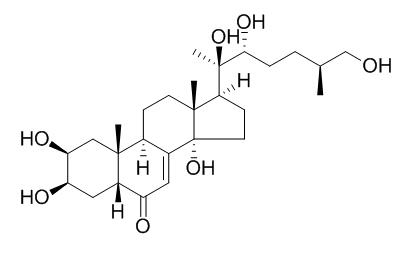 25R-Inokosterone