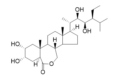 28-Homobrassinolide