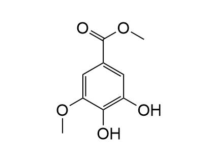 3,4-Dihydroxy-5-methoxybenzoic acidmethylester