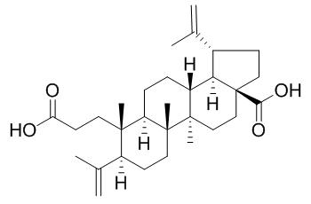 3,4-Secolupa-4(23),20(29)-diene-3,28-dioic acid