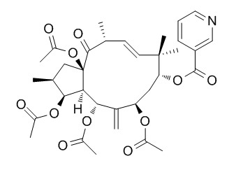 3,5,7,15-Tetraacetoxy-9-nicotinoyloxy-6(17),11-jatrophadien-14-one