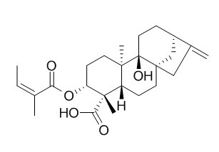 3alpha-Angeloyloxypterokaurene L3