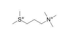 3-(Dimethylsulfonio)-N,N,N-trimethylpropanaminium(2+)