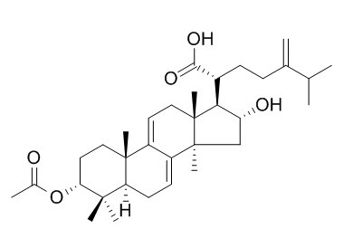 3-Epidehydropachymic acid