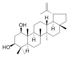 3-Epiglochidiol