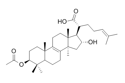 3-O-Acetyl-16 alpha-hydroxytrametenolic acid