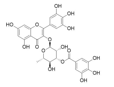 3-O-Galloylmyricitrin