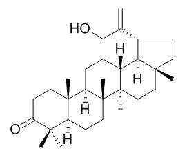 30-Hydroxylup-20(29)-en-3-one