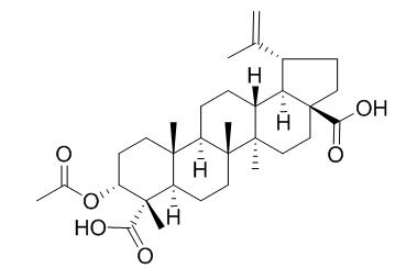 3alpha-Acetoxy-20(29)-lupene-23,28-dioic acid