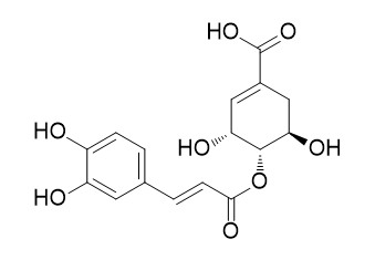 4-O-Caffeoylshikimic acid