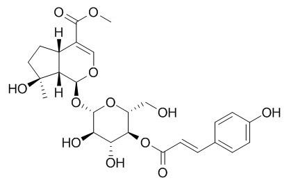 4'-O-trans-p-Coumaroylmussaenoside