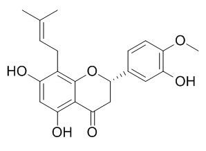 5,7,3-Trihydroxy-4-methoxy-8-prenylflavanone