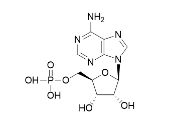 5'-Adenylic acid