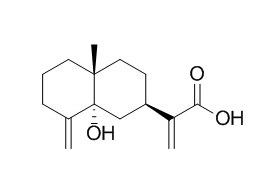 5alpha-Hydroxycostic acid