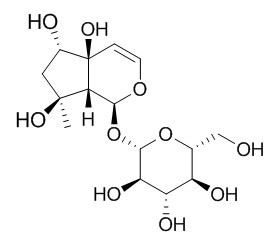 6-Epiharpagide