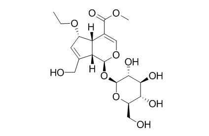 6-Ethoxygeniposide