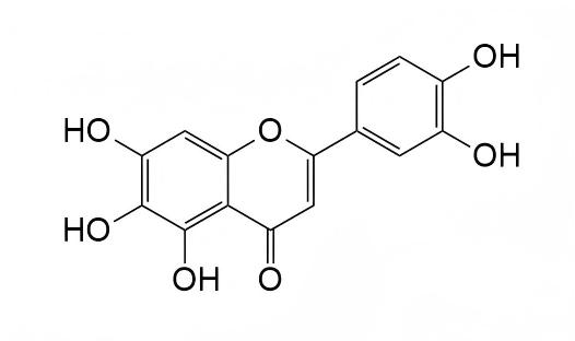 6-Hydroxyluteolin