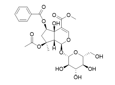 6-O-苯甲酰环烯醚萜B