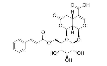 6-O-Cinnamoyl-8-epikingisidic acid