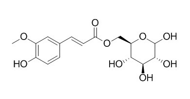 6-O-Feruloylglucose