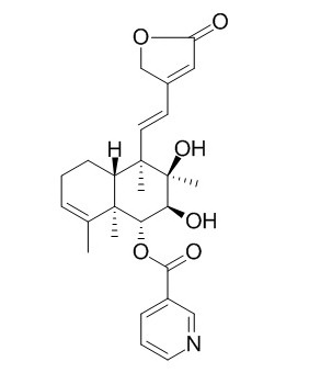 6-O-Nicotinoylbarbatin C