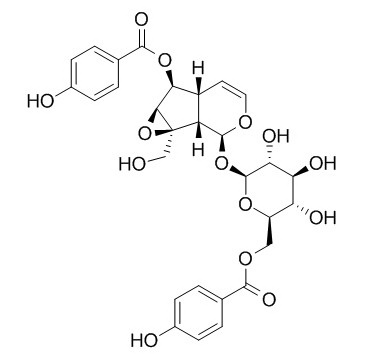 6-O-p-Hydroxybenzoylcatalposide