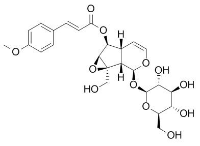 6-O-p-Methoxycinnamoylcatalpol